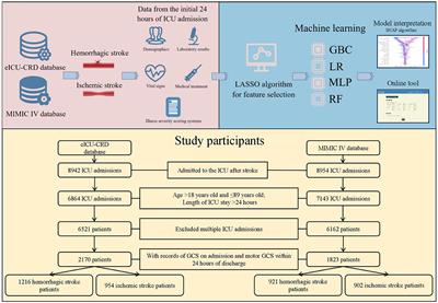 Explainable machine learning for predicting neurological outcome in hemorrhagic and ischemic stroke patients in critical care